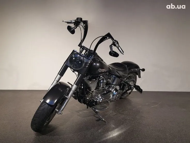 Harley-Davidson FLSTF Image 3